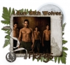 run-w-wolves--flergs.jpg